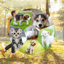 Electric Pet Grooming Comb – Painless Knot Removal for Dogs and Cats