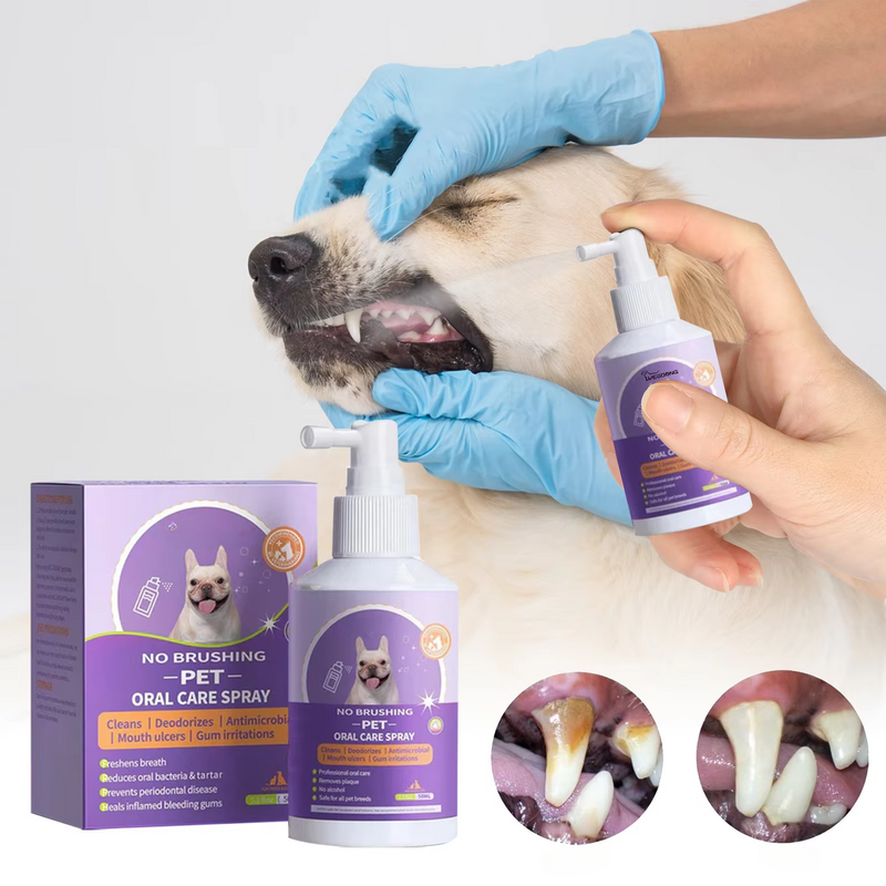 Teeth Cleaning Spray for Dogs & Cats