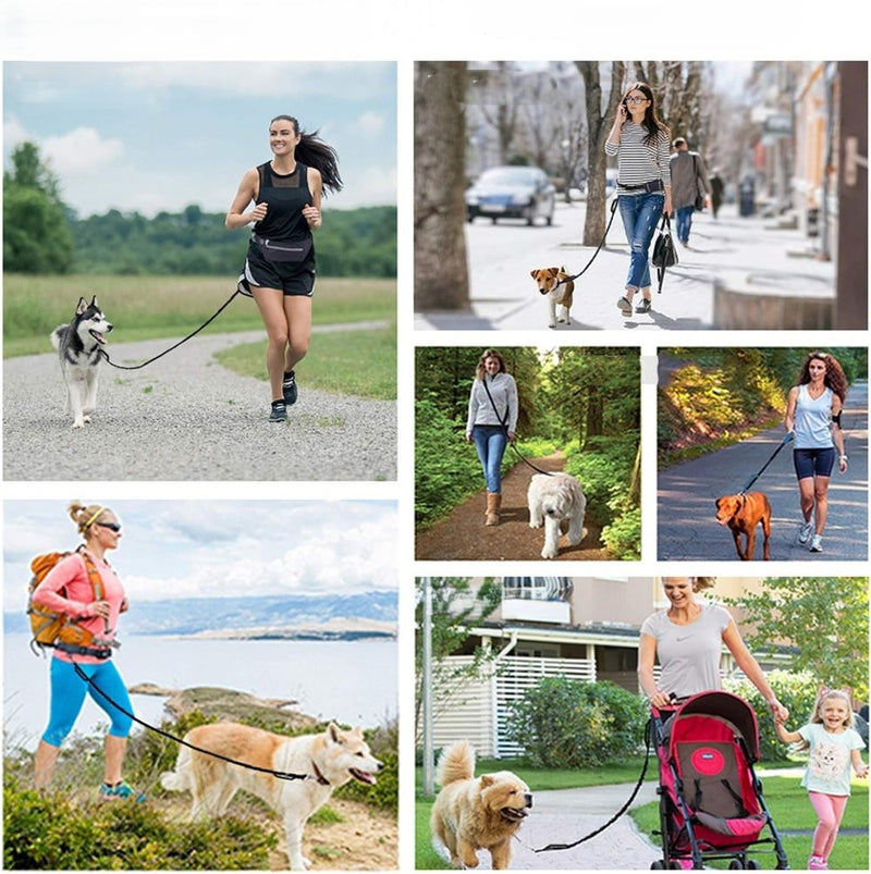 Hands-Free Dog Leash and Utility Pouch