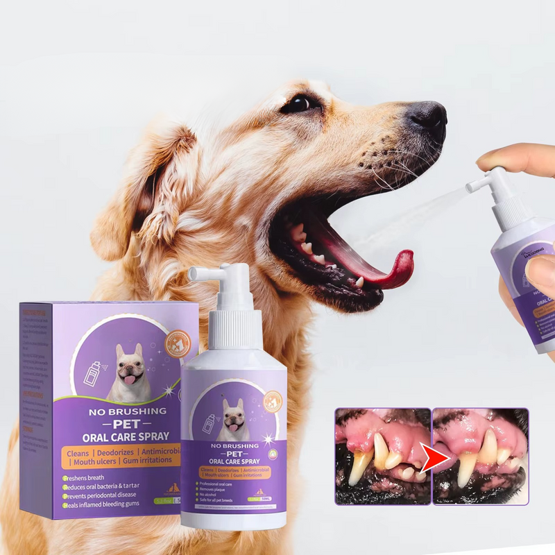 Teeth Cleaning Spray for Dogs & Cats