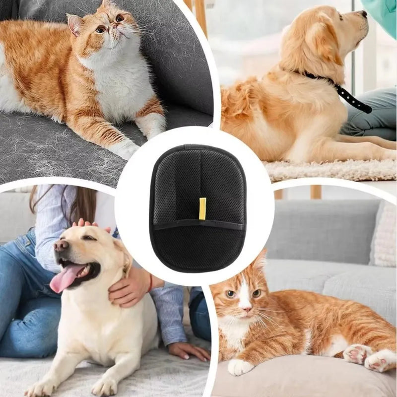 Cat Palm Electrostatic Glove – Pet Hair Removal Made Simple