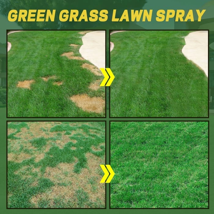 GREEN GRASS & PEST CONTROL LAWN SPRAY