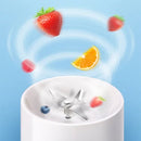 Portable Smoothie Blender