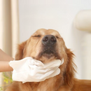 Deodorizing Pet Glove Wipes For Dogs（6Pcs）