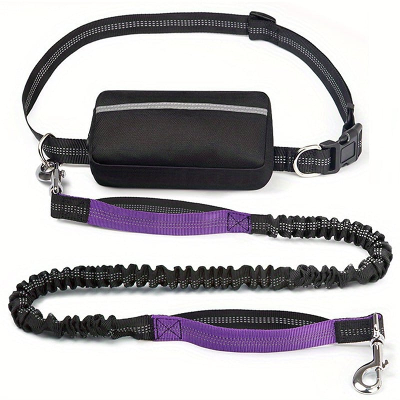 Hands-Free Dog Leash and Utility Pouch