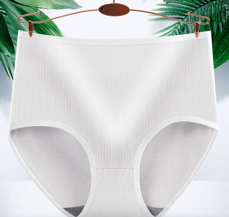 Antibacterial Absorbent Underwears