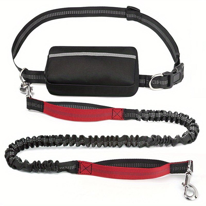 Hands-Free Dog Leash and Utility Pouch