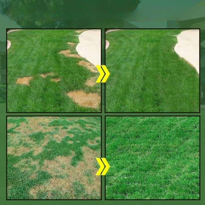 GREEN GRASS & PEST CONTROL LAWN SPRAY