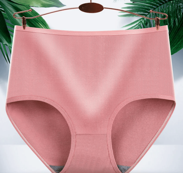 Antibacterial Absorbent Underwears