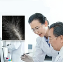 Natural Plant Hair Dye