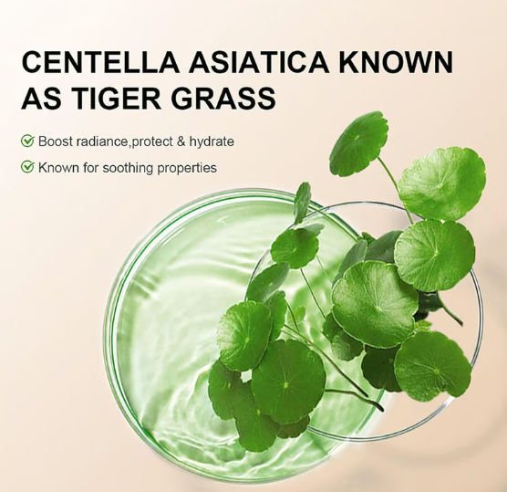 Hydrating CC Cream Foundation with Centella Asiatica