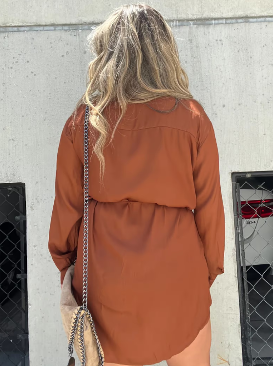 Women's Solid Color Long Sleeve Shirt Dress