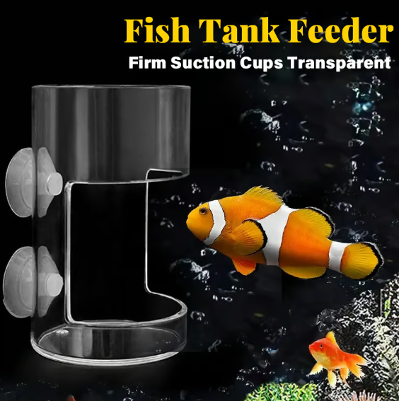 No Mess Aquarium Feeder