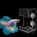 No Mess Aquarium Feeder