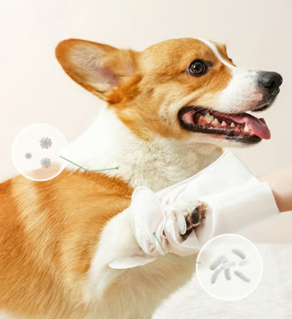 Deodorizing Pet Glove Wipes For Dogs（6Pcs）