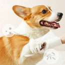 Deodorizing Pet Glove Wipes For Dogs（6Pcs）