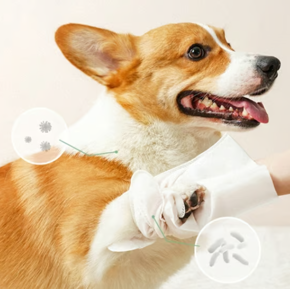 Deodorizing Pet Glove Wipes For Dogs（6Pcs）
