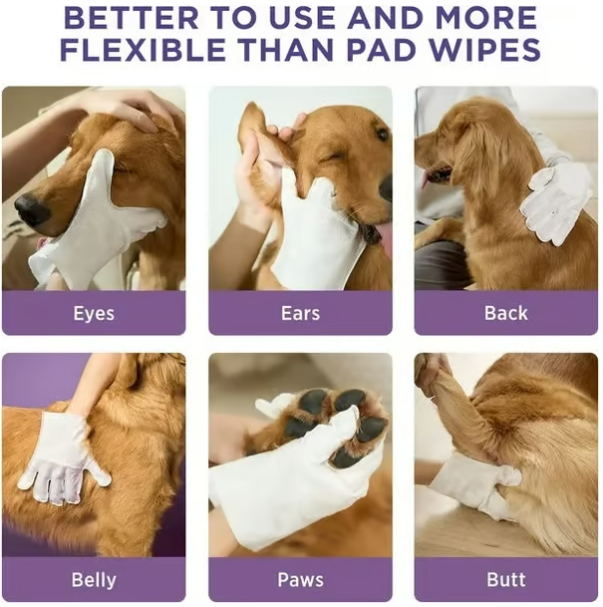 Deodorizing Pet Glove Wipes For Dogs（6Pcs）
