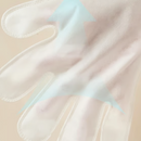 Deodorizing Pet Glove Wipes For Dogs（6Pcs）