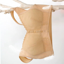 Front Closure Breathable Bra