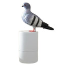 Coo-Coo Pigeon Soap Dispenser