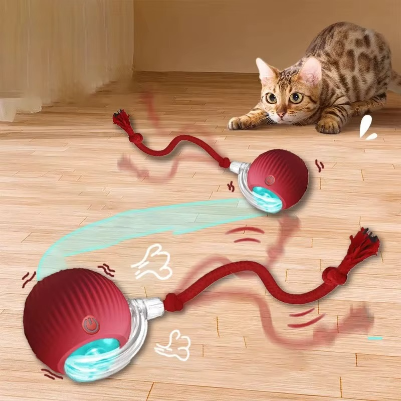 Interactive Pet Toy Ball