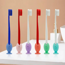 Tooth Brush Cover Cap Stand