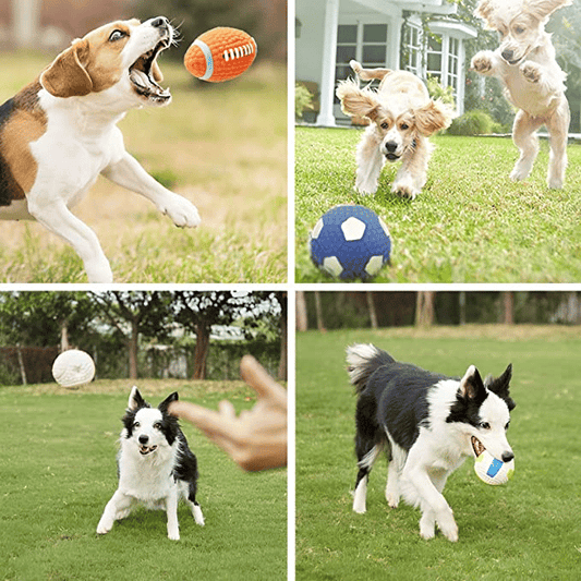 Toy for Aggressive Chewers