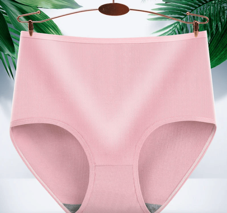 Antibacterial Absorbent Underwears