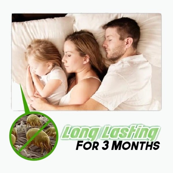 All-Natural Dust Mites Killer!! & 1 PACK (6PCS)