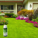 GREEN GRASS & PEST CONTROL LAWN SPRAY