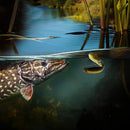 Bionic Soft Fishing Lures ( 5PCS )