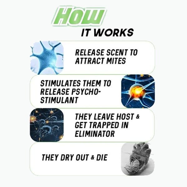 All-Natural Dust Mites Killer!! & 1 PACK (6PCS)